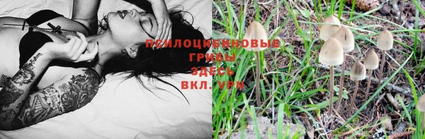стаф Абдулино