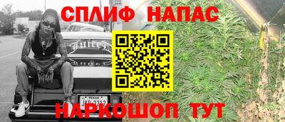 spice Балахна