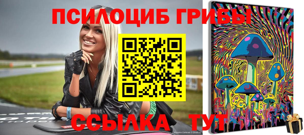 продажа наркотиков  Галлюциногенные грибы GOLDEN TEACHER  Зеленогорск  Вход с VPN  Галлюциногенные грибы Psilocybine cubensis 