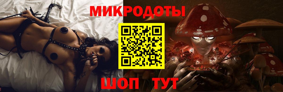 Псилоцибиновые грибы GOLDEN TEACHER Зеленогорск