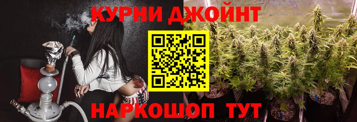 Канабис планчик  Бошки марихуана семена  Зеленогорск  Шишки марихуана сатива  Вход с VPN 